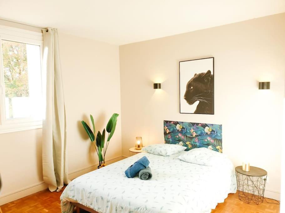 Cosy Mure 4Ch - Stationnement Gratuit Pau Bagian luar foto