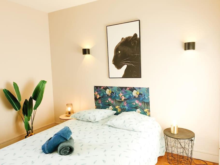 Cosy Mure 4Ch - Stationnement Gratuit Pau Bagian luar foto